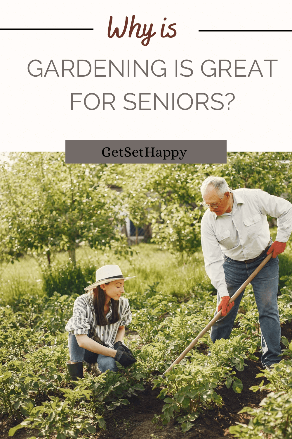 Top Benefits Of Gardening For Seniors Getsethappy