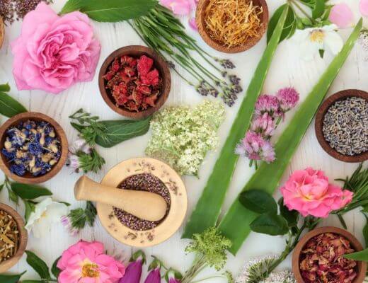 10 Best Herbs to Boost Skin Health
