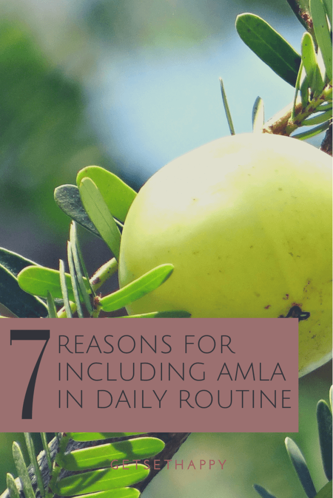7 Reasons for Including Amla in Daily Routine 