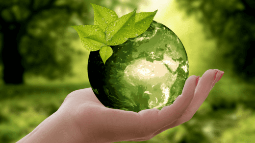 3 Environmental Benefits of Solar Energy