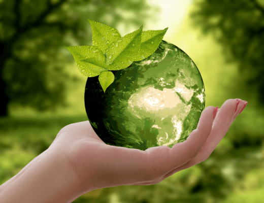 3 Environmental Benefits of Solar Energy