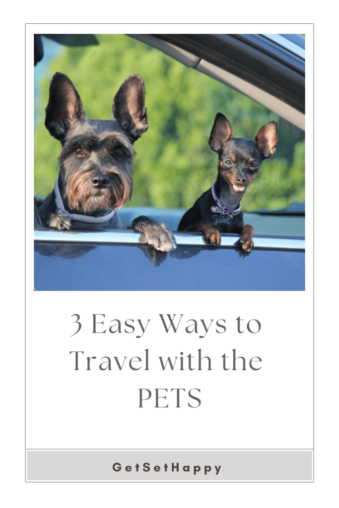 Pet-Friendly Holiday Ideas