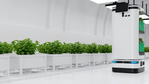 7 Amazing Benefits of Machine Vision System