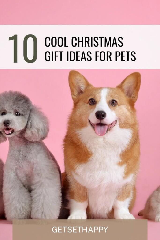 Gift ideas for pets