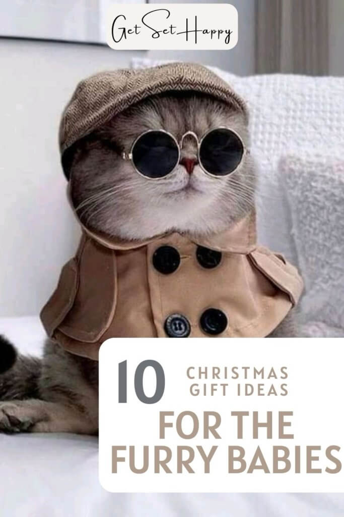 Christmas gifts for pets