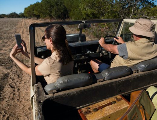 5 Exclusive Wildlife Encounters You Can Only Have in Luxury Serengeti Safaris
