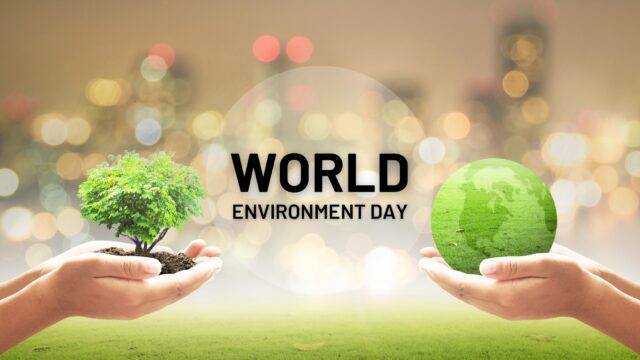 World Environment Day – How can we contribute at individual level ...